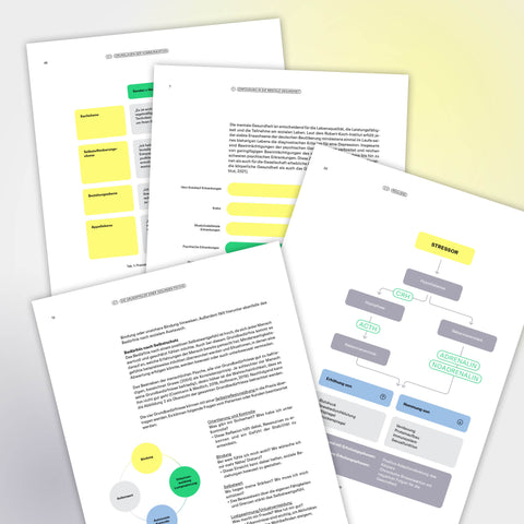 Fachbuch Mentale Gesundheit E-Book