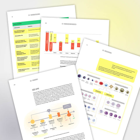 Fachbuch Blutwerte E-Book