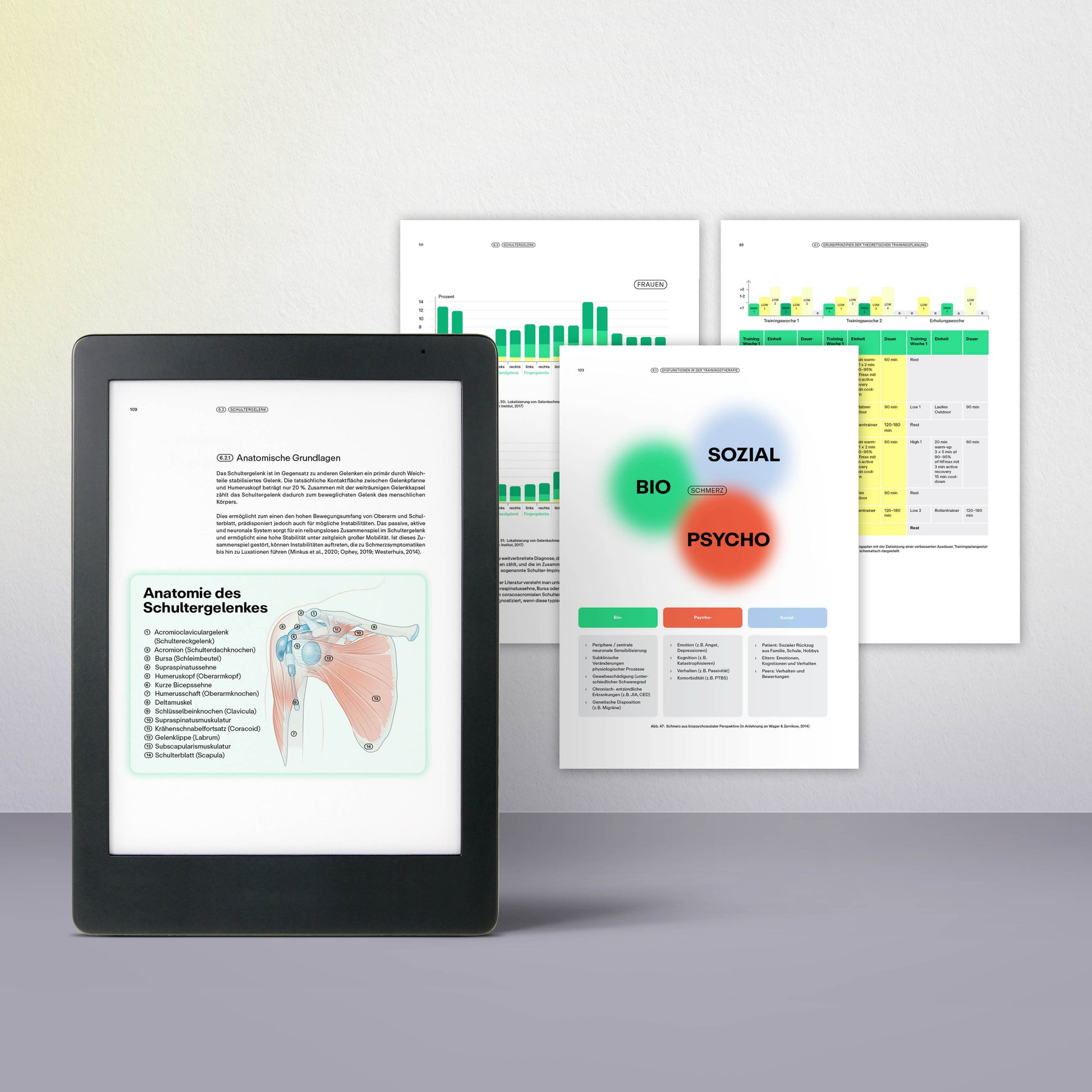 Fachbuch Trainingswissenschaft E-Book