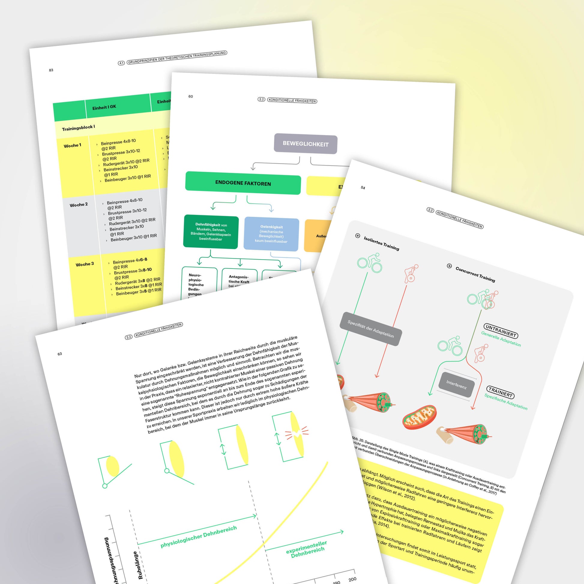 Fachbuch Trainingswissenschaft E-Book