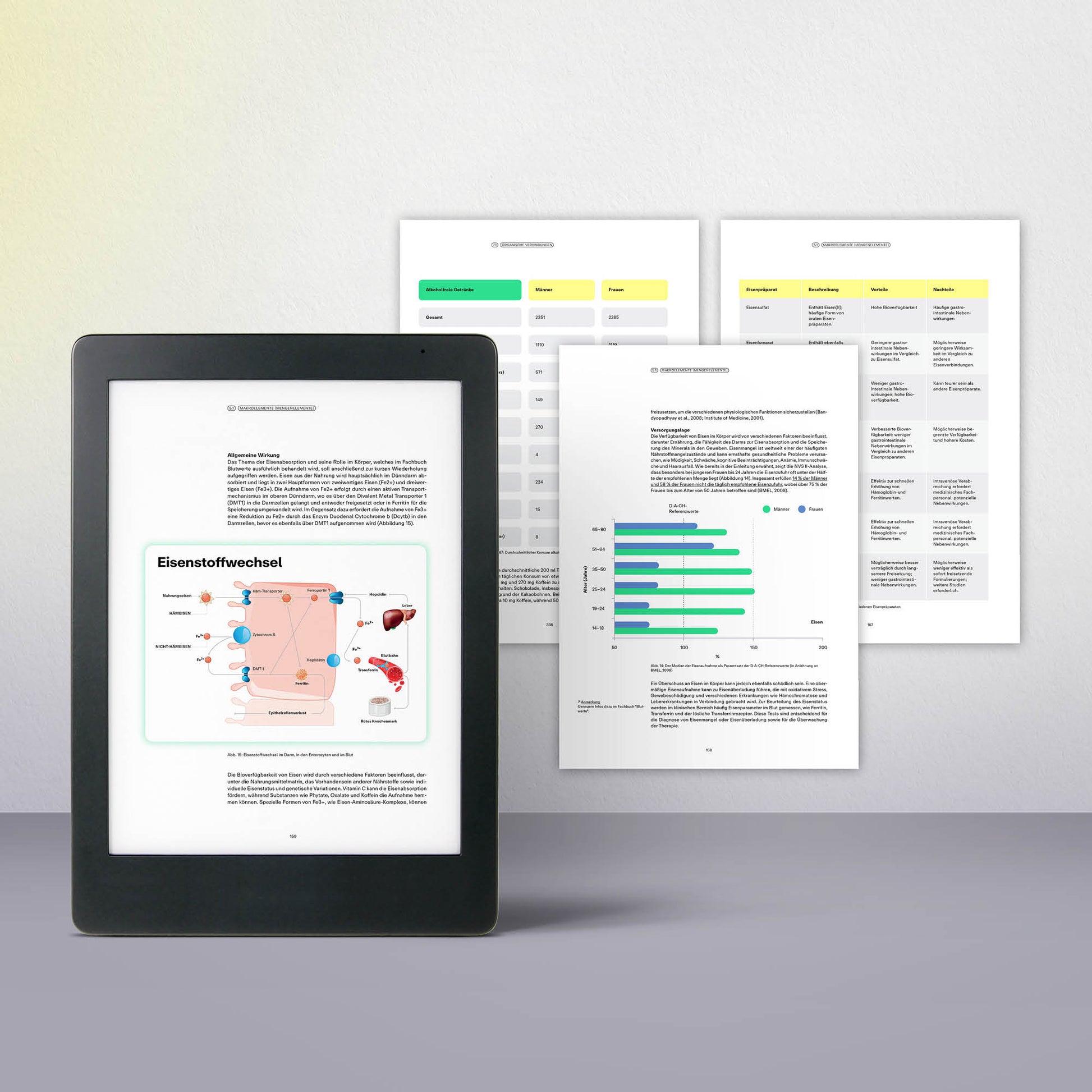 Fachbuch Nährstoffmedizin E-Book