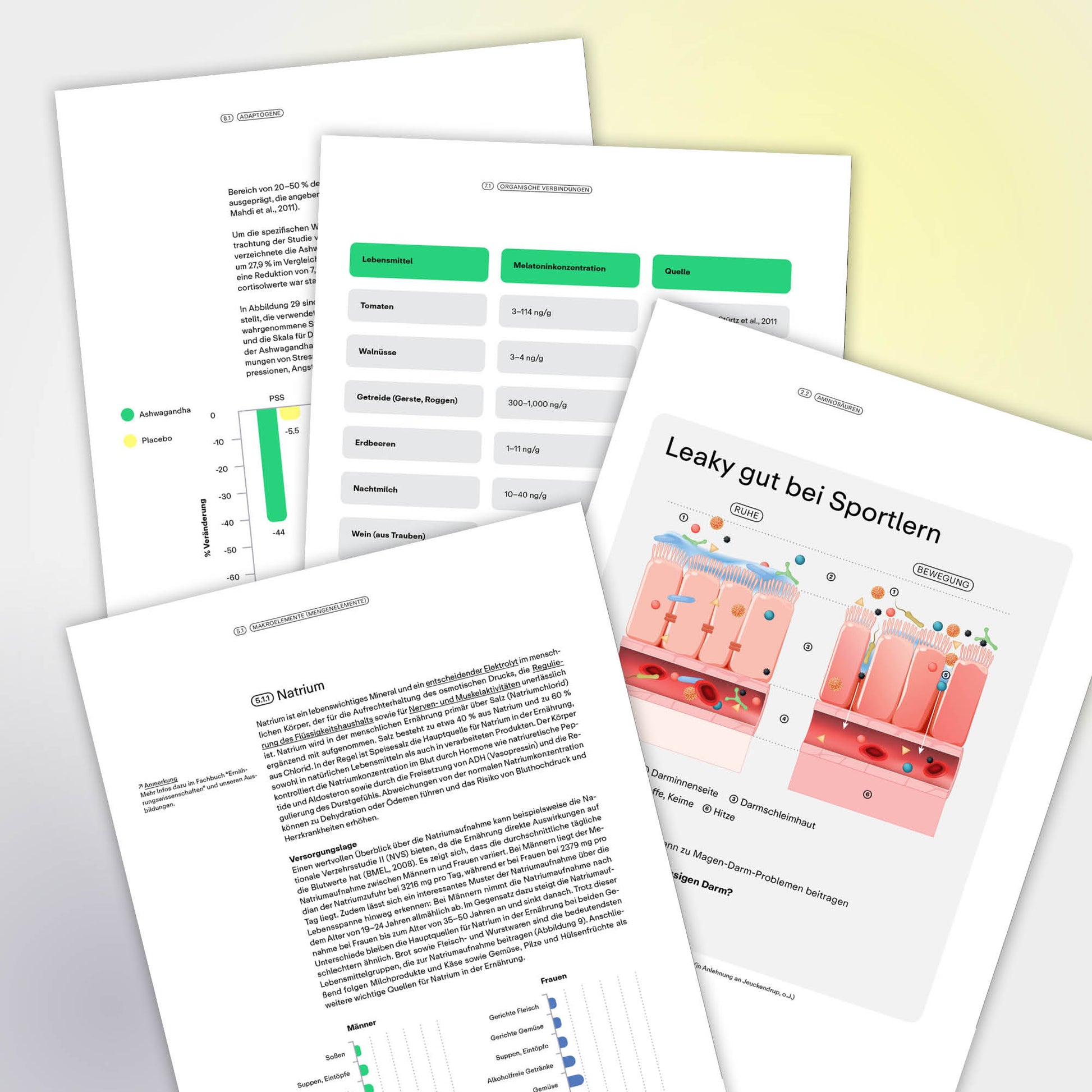 Fachbuch Nährstoffmedizin E-Book