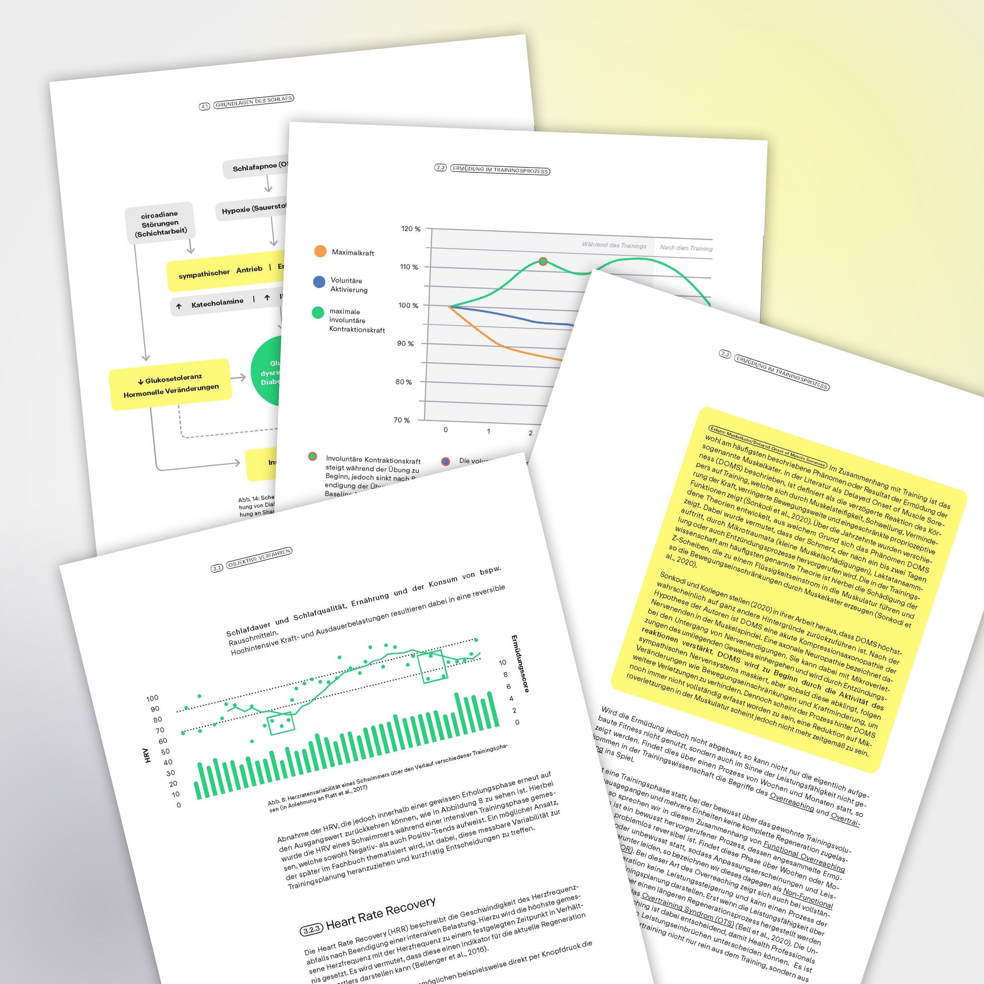 Fachbuch Regeneration E-Book